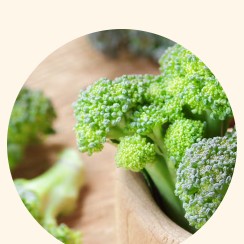 Broccoli Sprout Extract