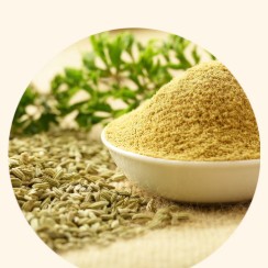 Fennel Seed Extract