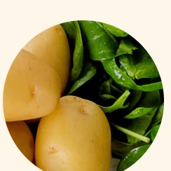 Vitamin B6